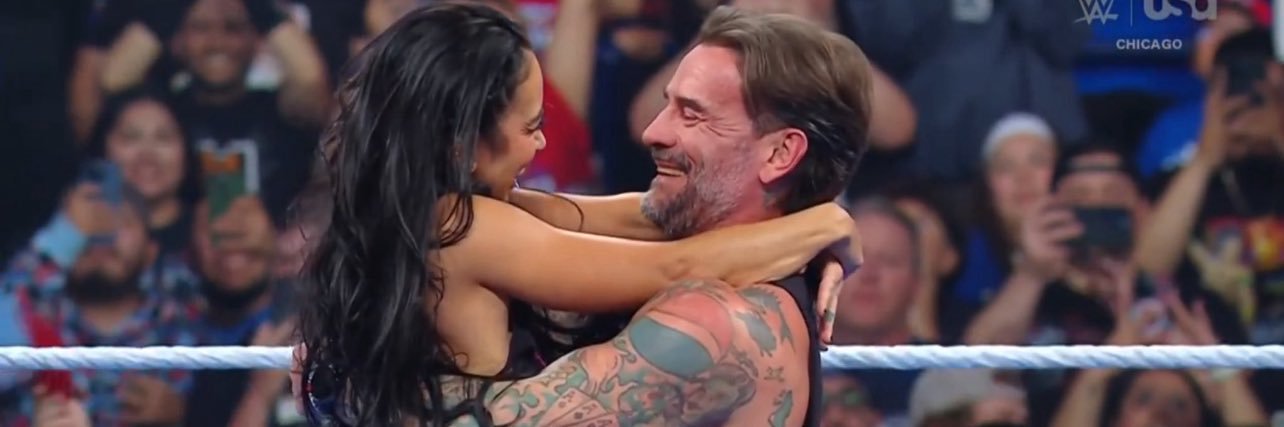 sonny punk banner