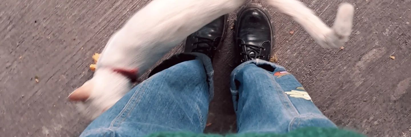 acciomalfxy's profile banner image
