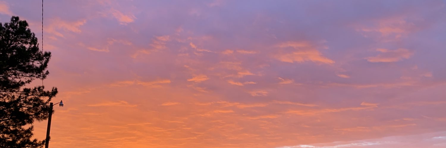 madipurs's profile banner image
