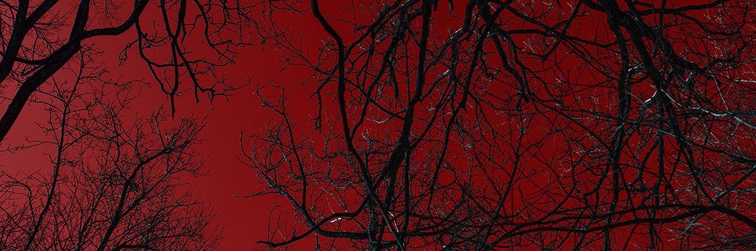 rhythm___0 ⛓️🪽 banner