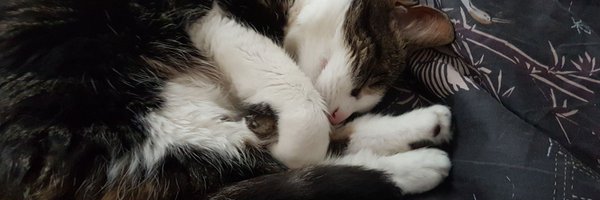 lalahime_ Profile Banner