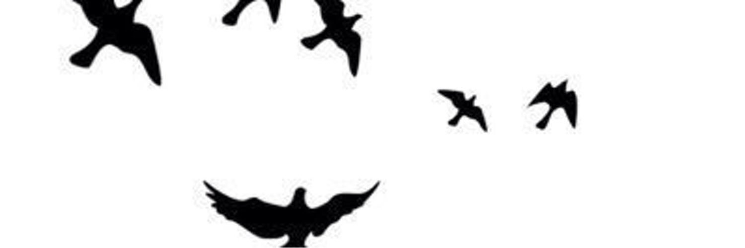 46Fawzia's profile banner image