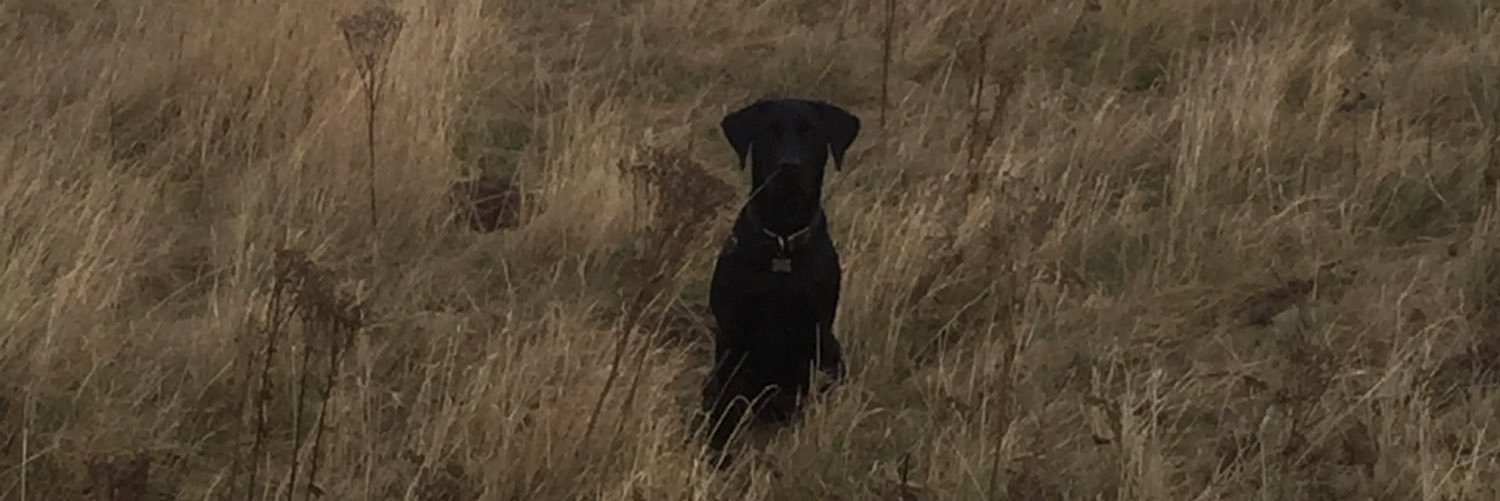 FraserSymon's profile banner image