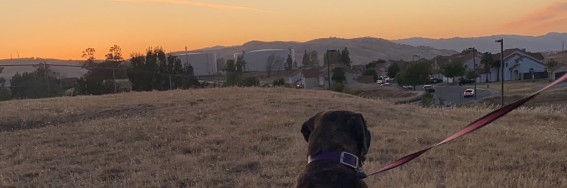 macgfountain's profile banner image