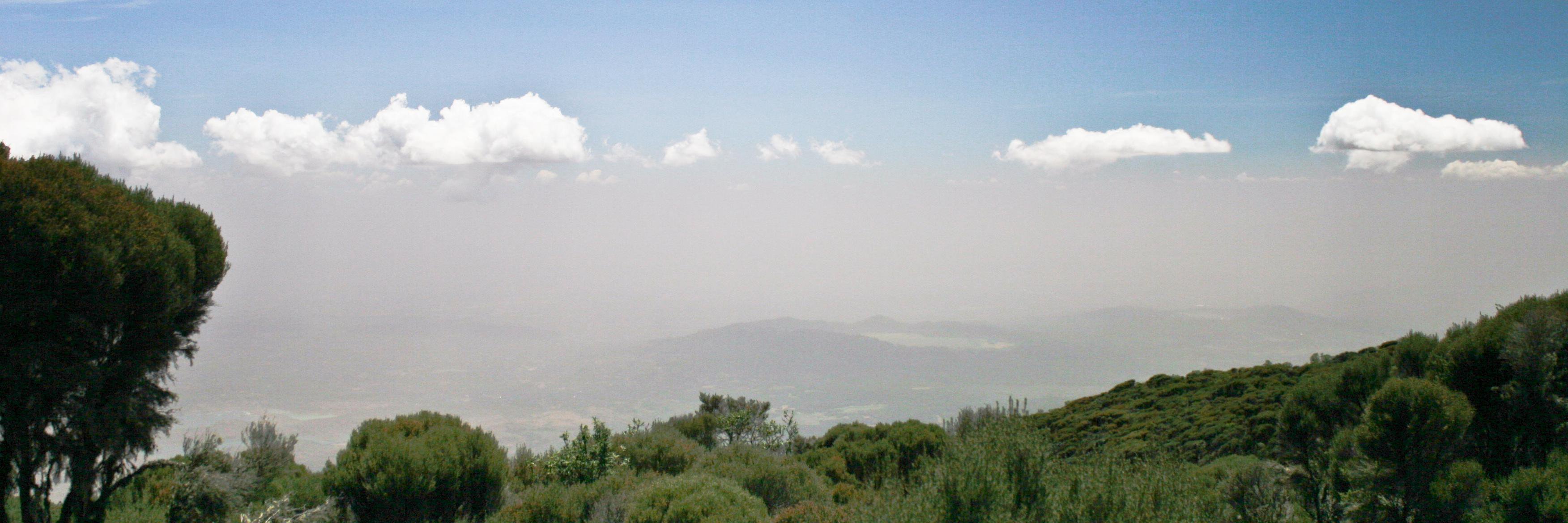 Miguel Teixeira banner