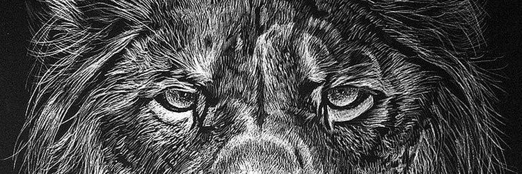 ThezoXea's profile banner image
