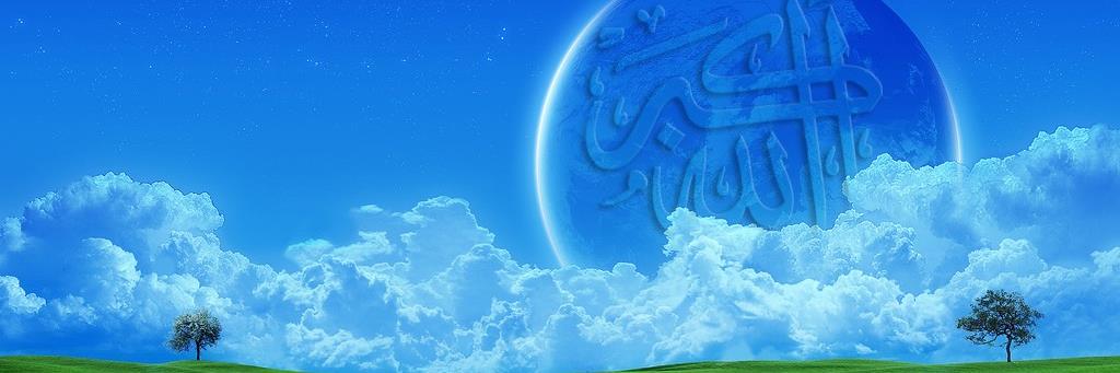 naify2007's profile banner image