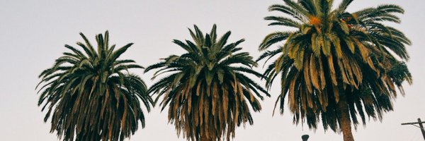 lRlSPATTON Profile Banner
