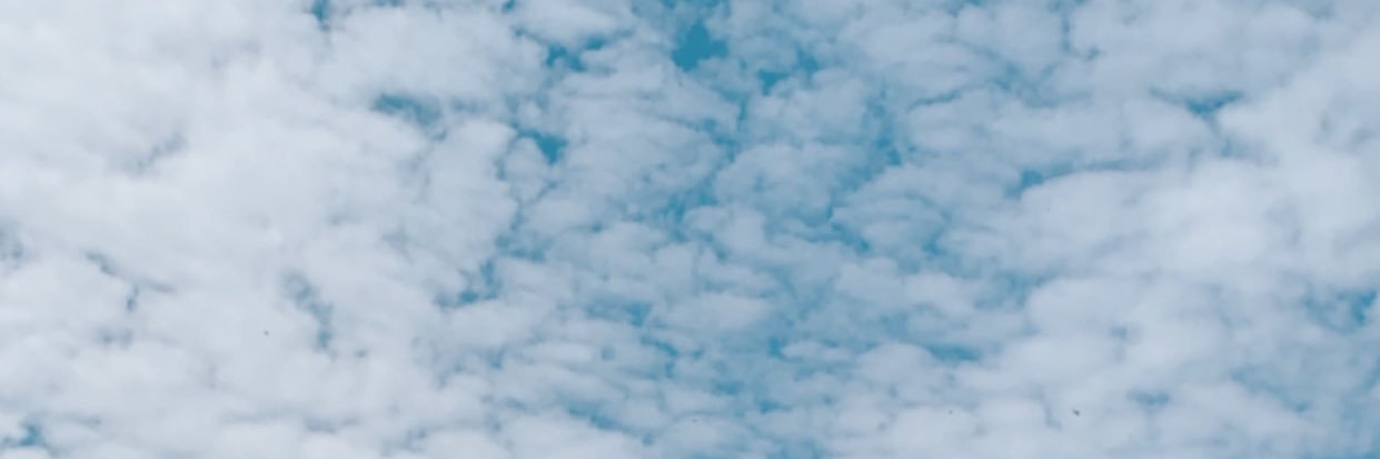 jesscantorr2's profile banner image