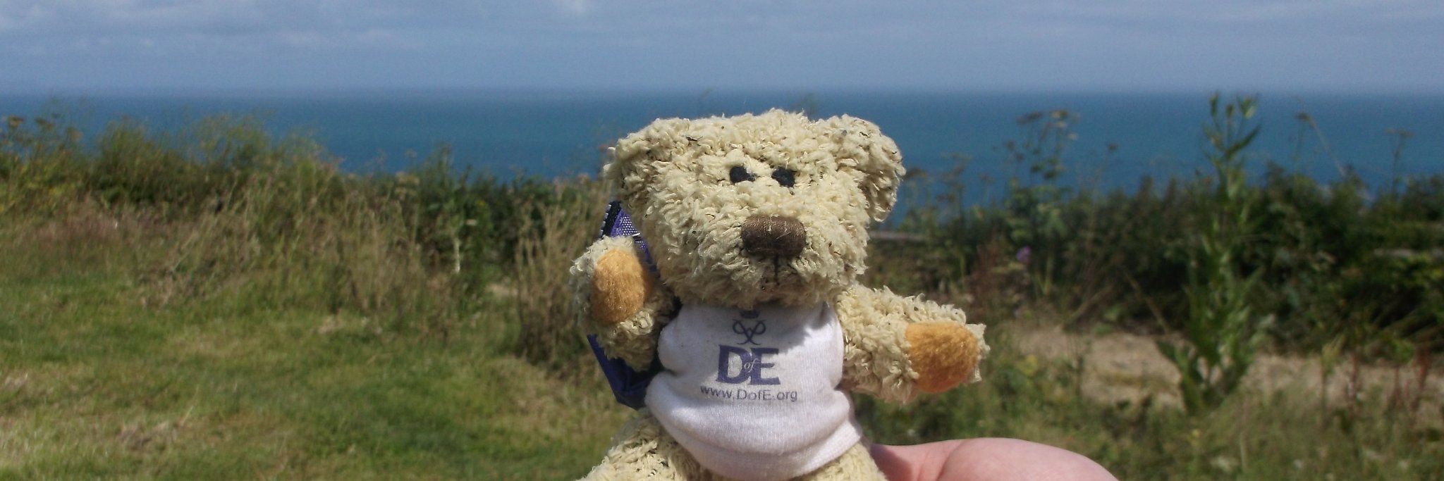 sshsdofe's profile banner image