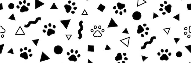 spedly.eth banner