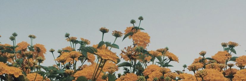 _AAlivia's profile banner image