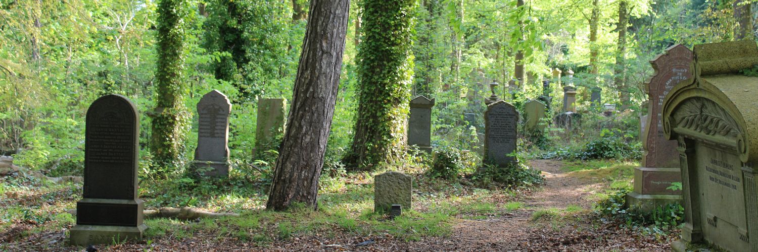 CathcartCem's profile banner image
