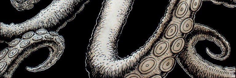 SchiererK's profile banner image