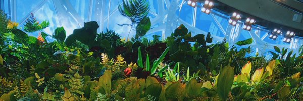 seiho777 Profile Banner
