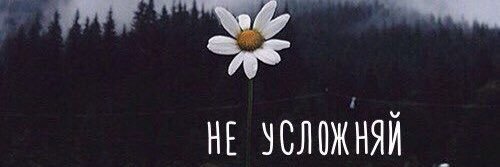 Stasya_V_'s profile banner image