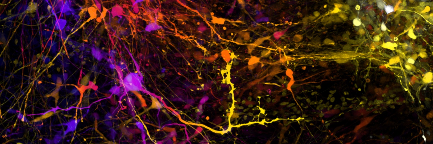 Matheus Victor banner