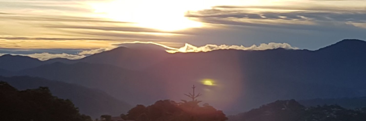 BondJudy's profile banner image