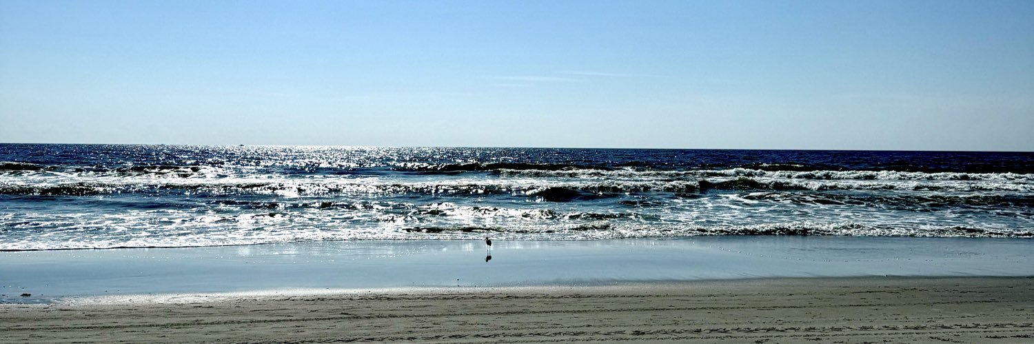 Lauren Ashman banner