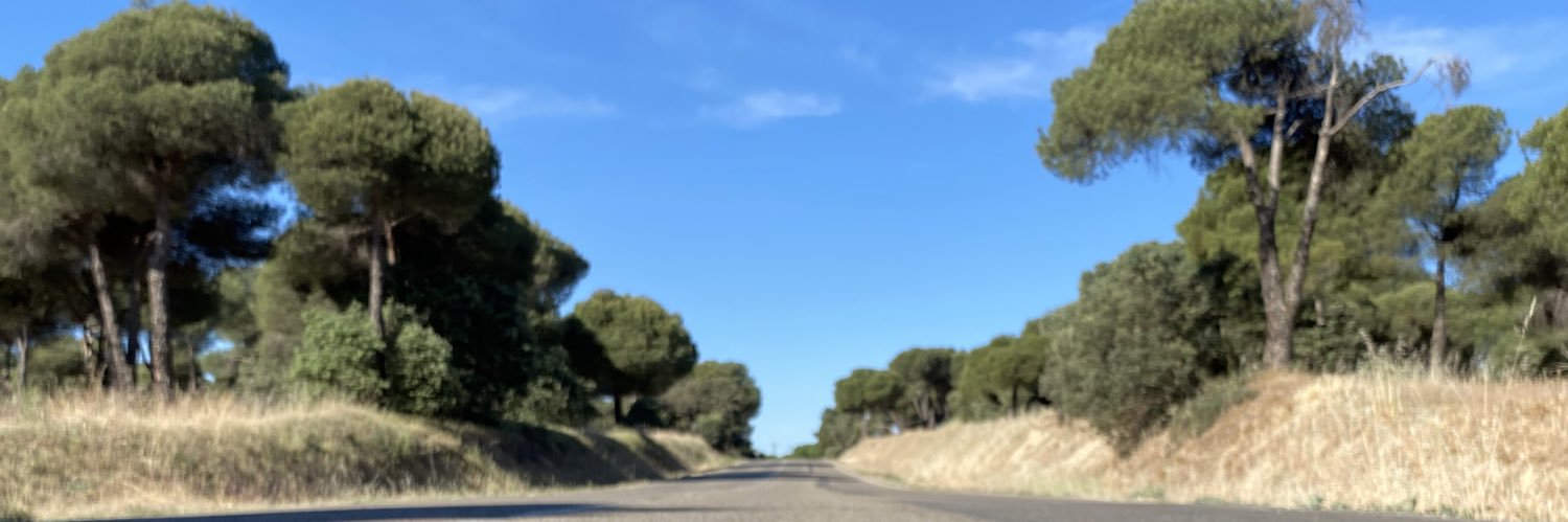 patifermar's profile banner image