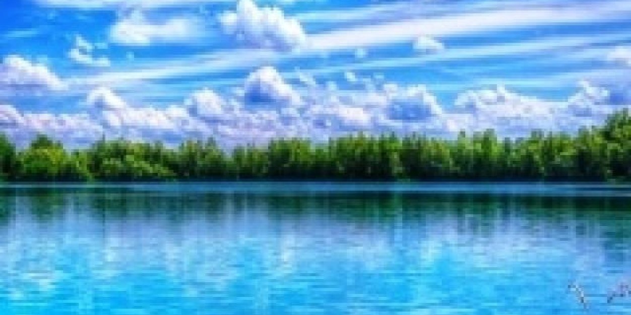 ehmanders's profile banner image