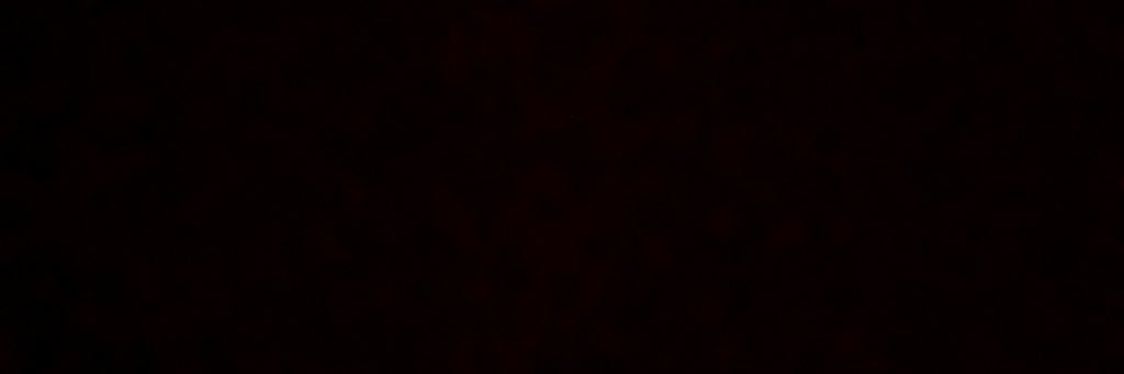 iAmTIARA banner