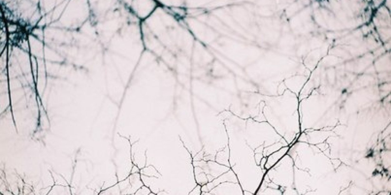 ierofuck's profile banner image