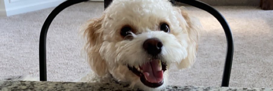PicklePluta's profile banner image