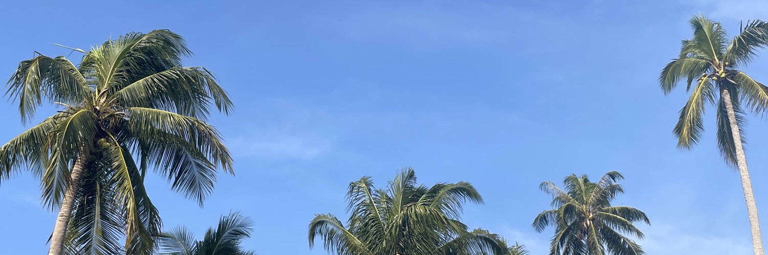 hellodeena's profile banner image