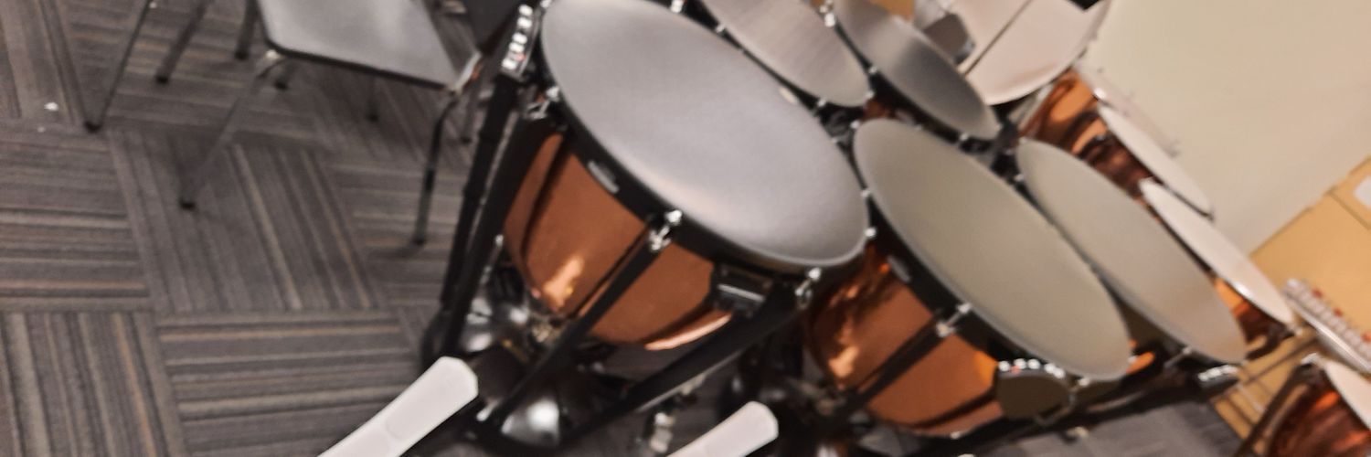 robinsnd's profile banner image