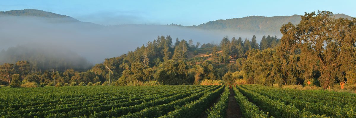 WeAreRutherford's profile banner image