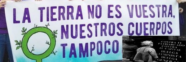 Lolaja3 Profile Banner