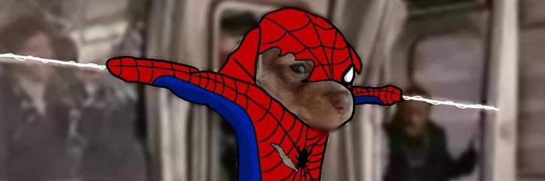 Victor Emmanuel banner