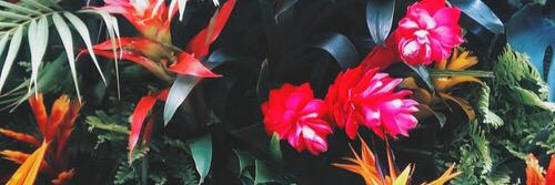 Saragarci6's profile banner image