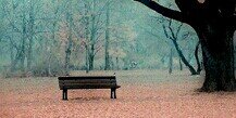 CarinaMty's profile banner image