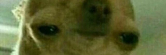 Shadrocpt_alt's profile banner image