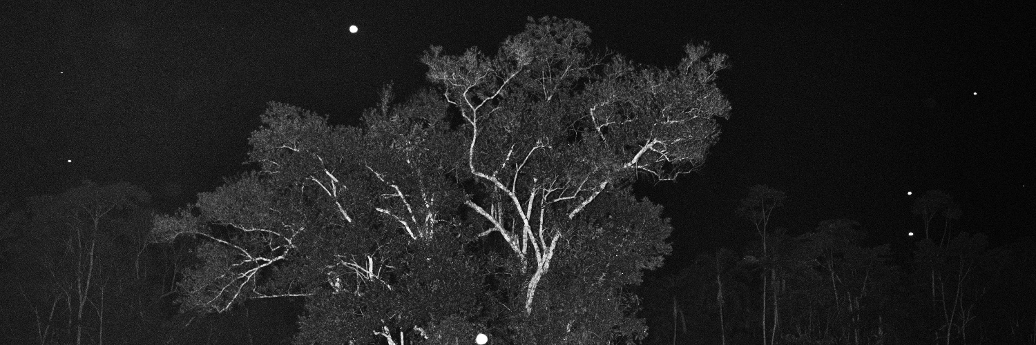 tomprotti's profile banner image