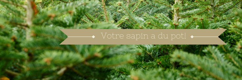 Ecosapin's profile banner image