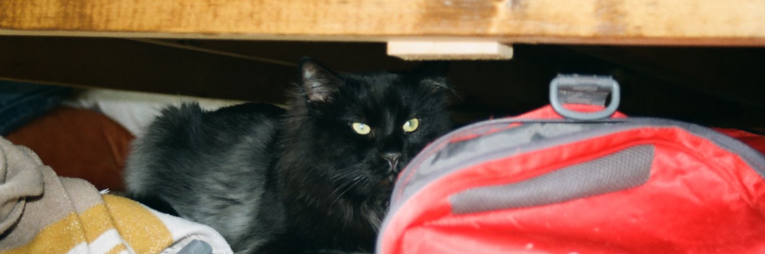 nickwburt's profile banner image