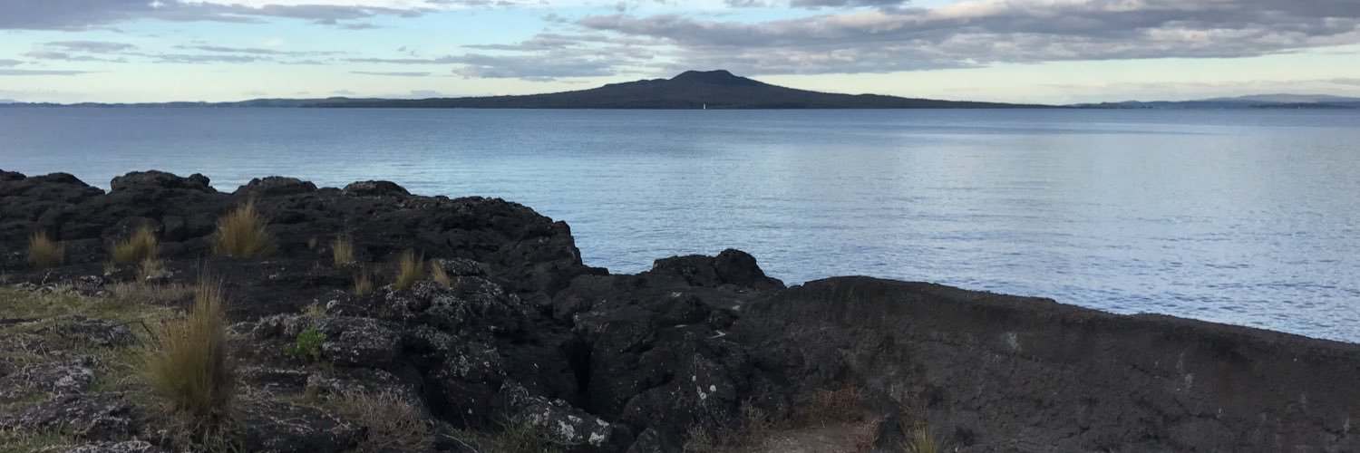 Nick_NZ's profile banner image