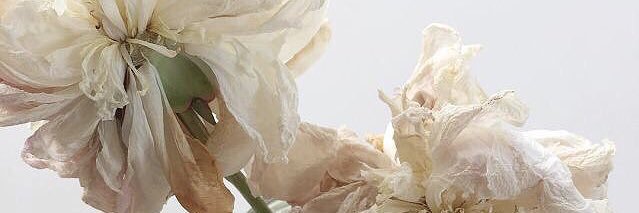 malnadeau's profile banner image