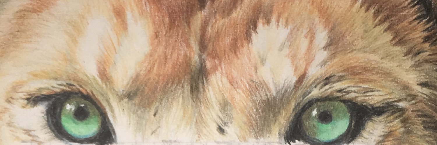 scorpiomgjart's profile banner image