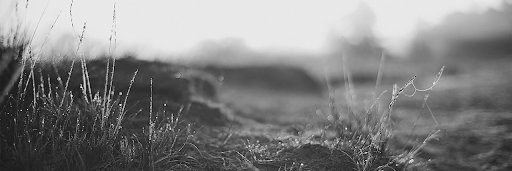 warisman_92's profile banner image