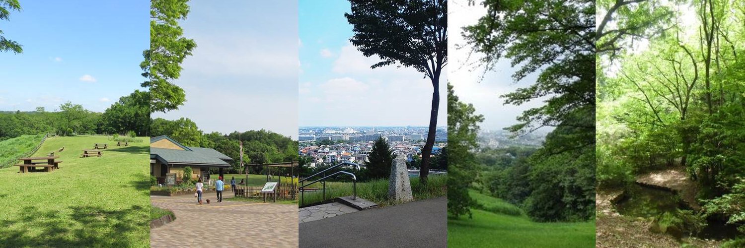 都立多摩丘陵5公園の採れたて情報 Profile Banner