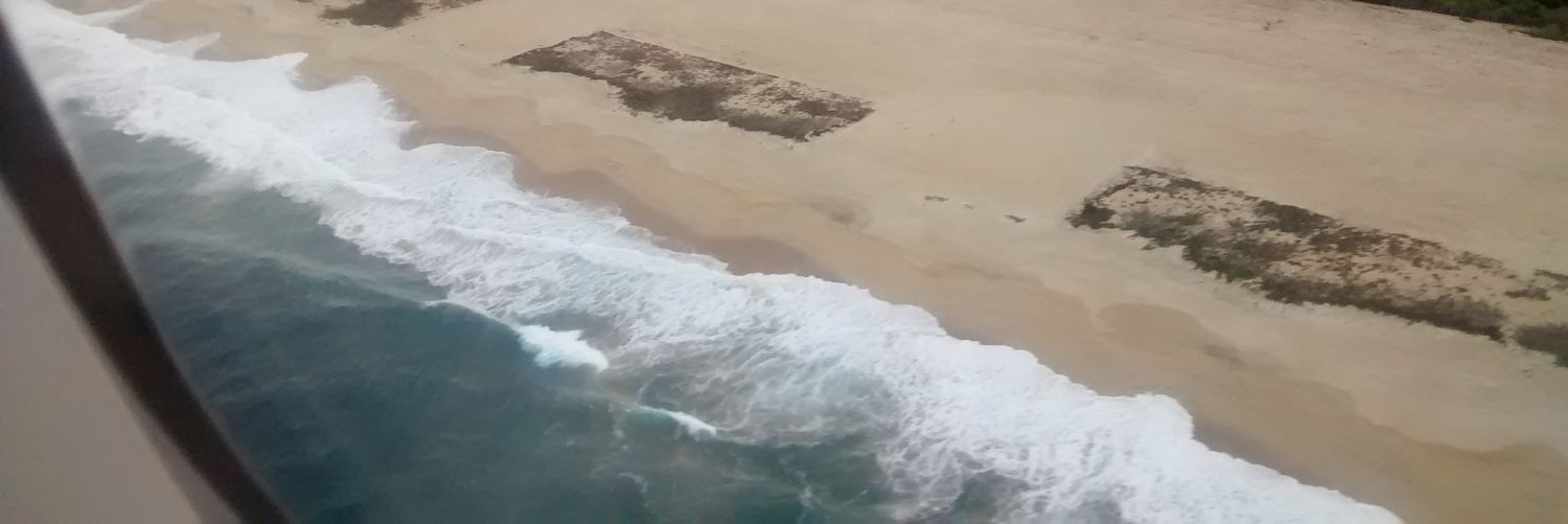 Ric Banquells actor banner