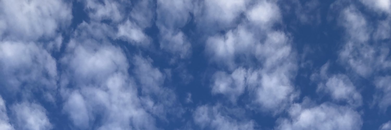 ri_sui81's profile banner image