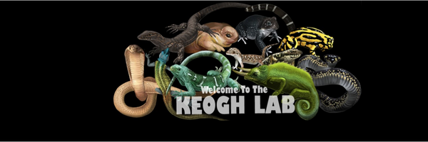 Keogh_Lab Profile Banner