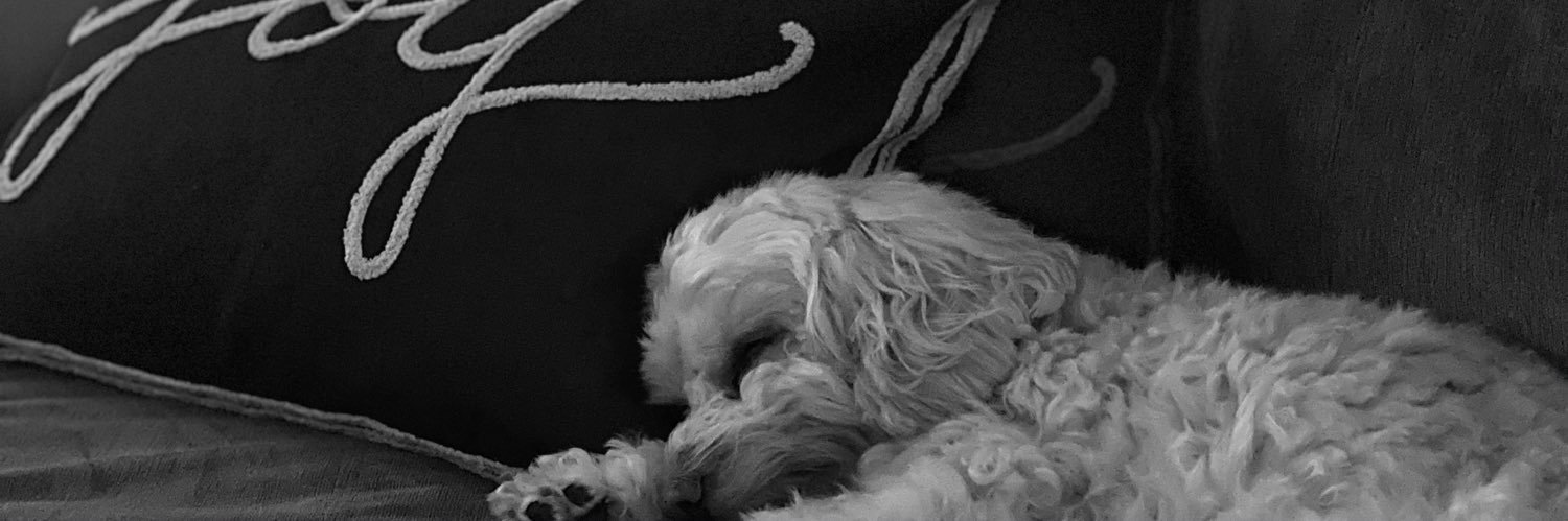 🏳️‍🌈⚛️🧪🗺🧘‍♀️🏕💙💚🏈 Go HAWKS!💙💛⚾️ Go M’s! banner