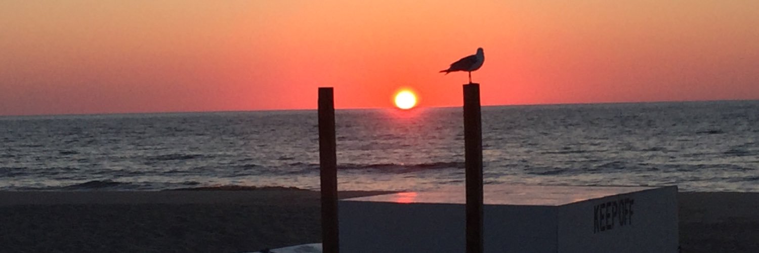 Michael Andersen banner