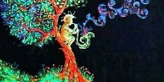 Luulacaceres's profile banner image